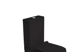 Cassetta Per Wc Monoblocco Wild Nero Opaco